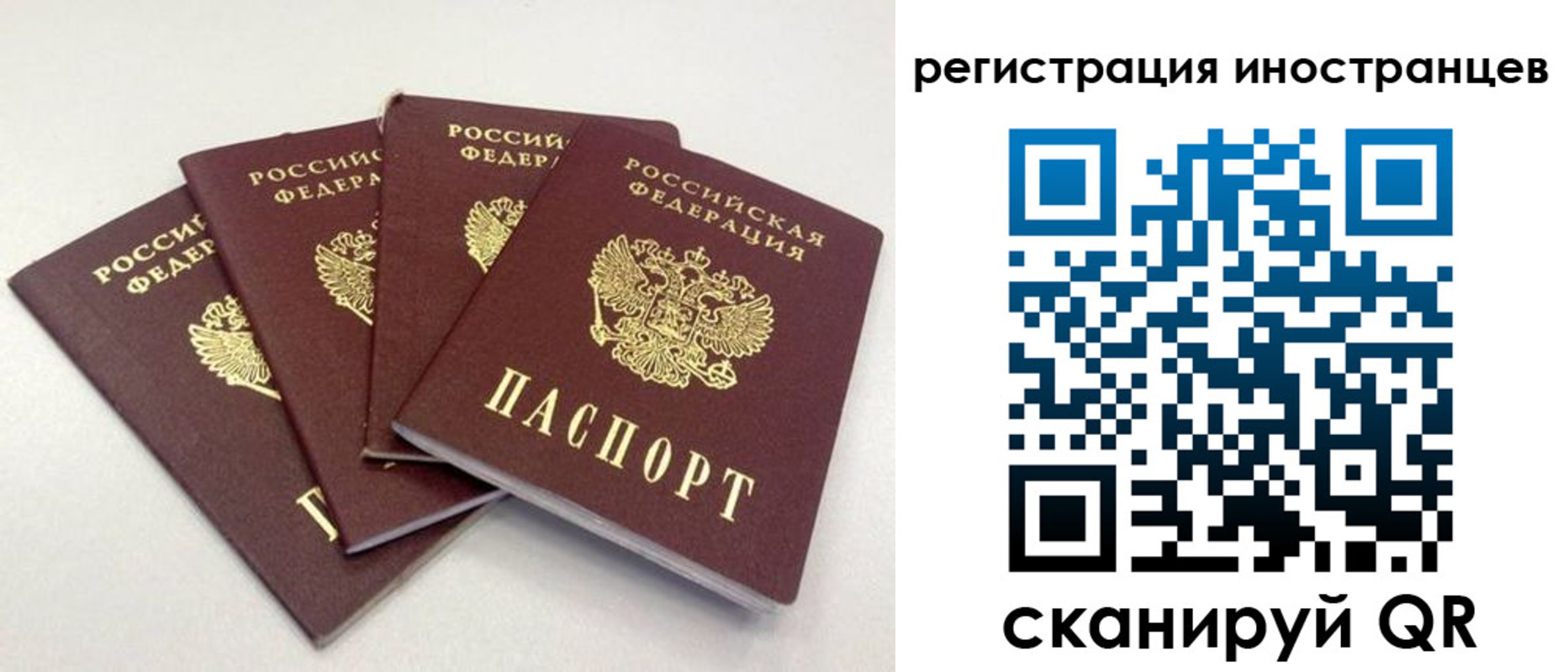 временная регистрация для школы в Дагестанских Огнях